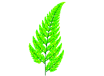 A small IFS plot of the Barnsley fern