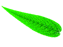An leaf like image in green